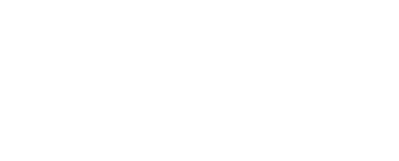 Intivity logo