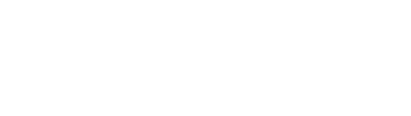 Plum Life logo