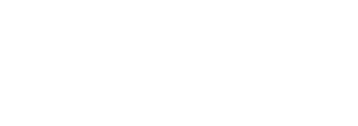 Top Flite logo
